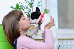 Rabbiosi's french-bulldogs - girl with new puppy