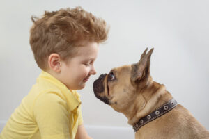 Rabbiosi's French BulldogsFrench Bulldogs and Children