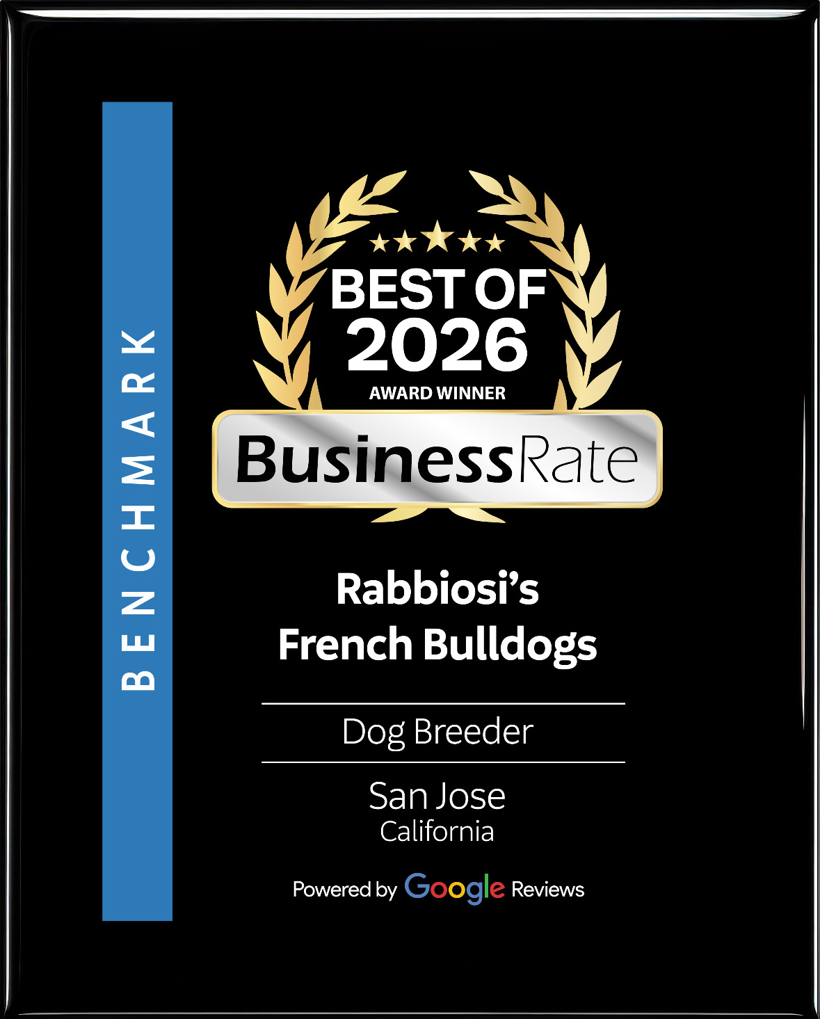 Best of 2026 business award - Rabbiosi's French Bulldogs