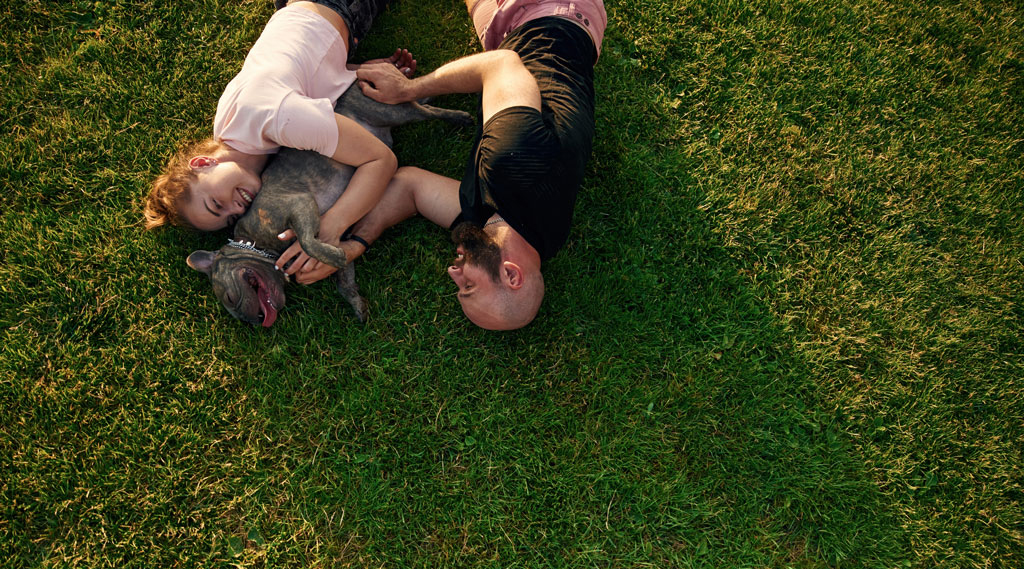 Rabbiosi’s French Bulldogs - Engagement”