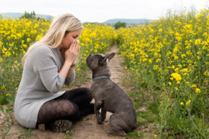 Rabbiosi’s French Bulldogs- French Bulldogs Allergies